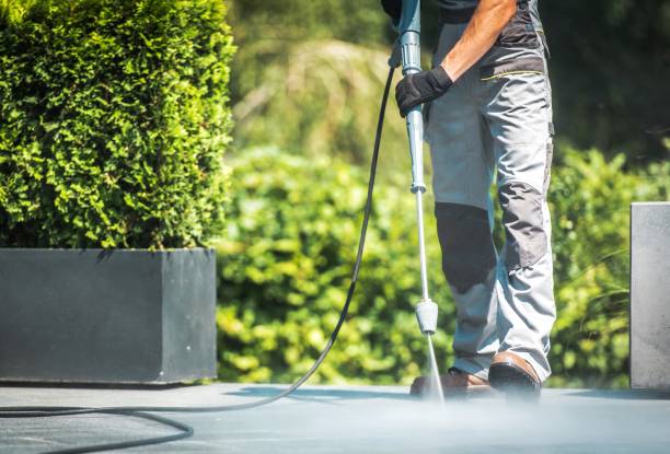 Best Fence Cleaning  in Great Falls Crossing, VA